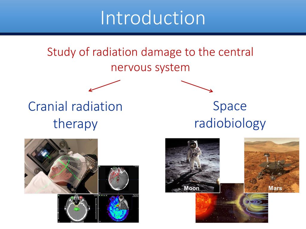 Space Radiobiology