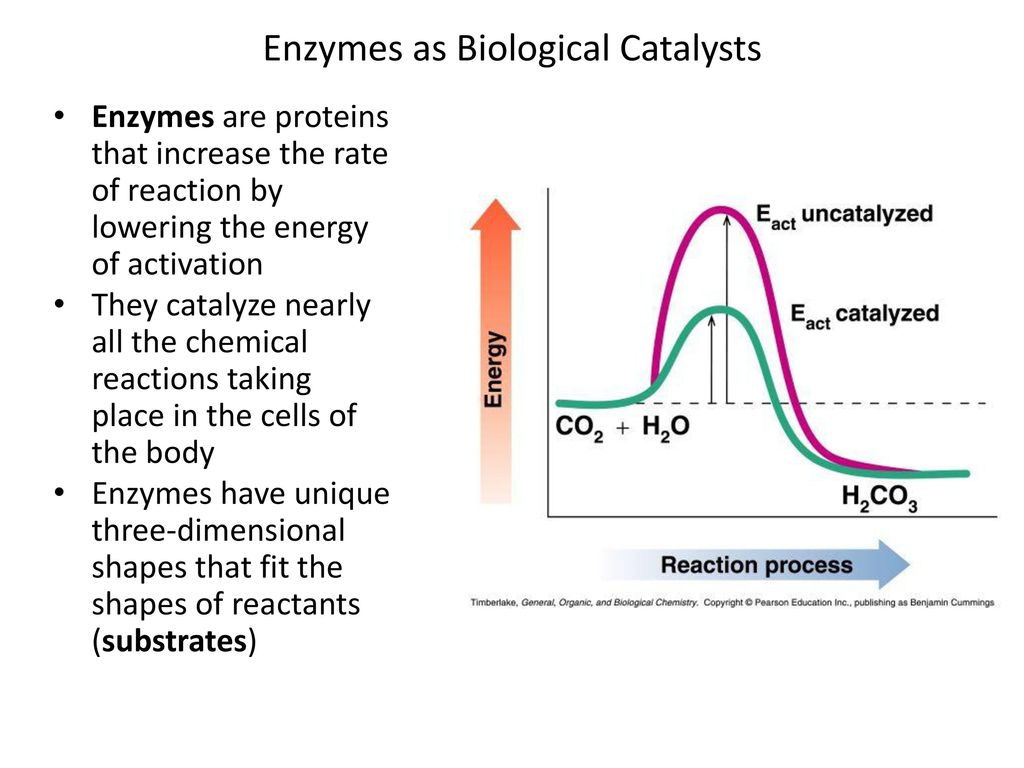 Activation energy of acid catalyzed sucrose hydrolysis enzymes