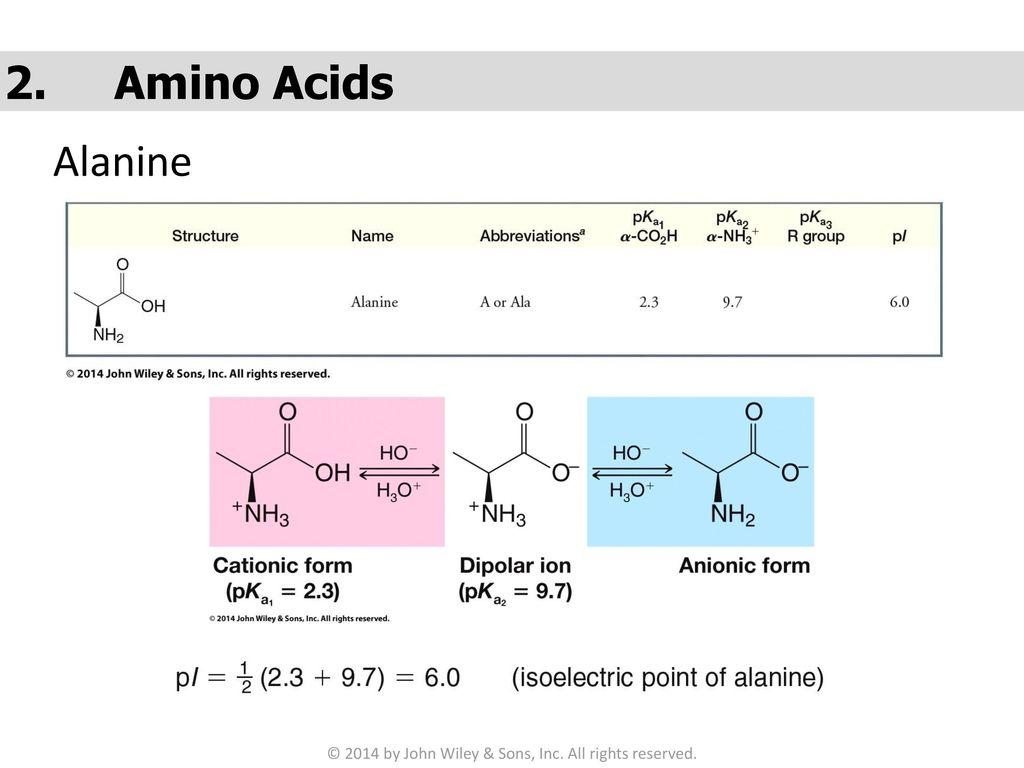 Гидролиз глицилаланина. Аланин. Аланин аланин. Аланин и вода реакция. Бета аланин формула.