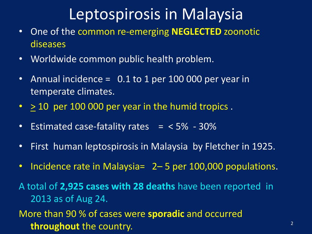 Leptospirosis Menace In Malaysia Ppt Download