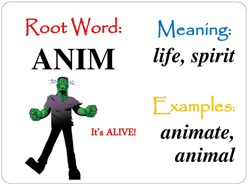 Using Greek and Latin Root Words to Build Vocabulary - ppt download