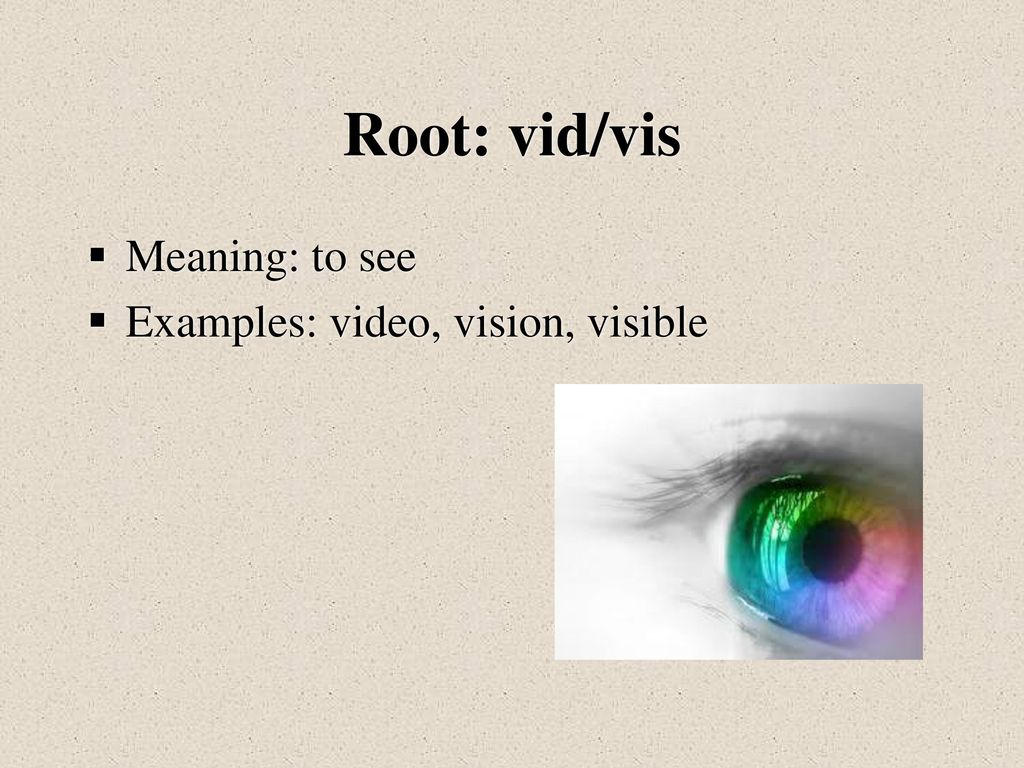 Greek and Latin Roots Roots, the core of words, will help you better  understand a word's meaning. - ppt download