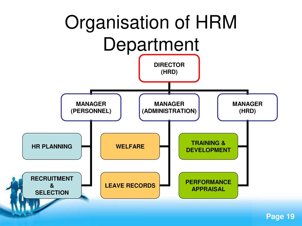 Organisation of HRM Department
