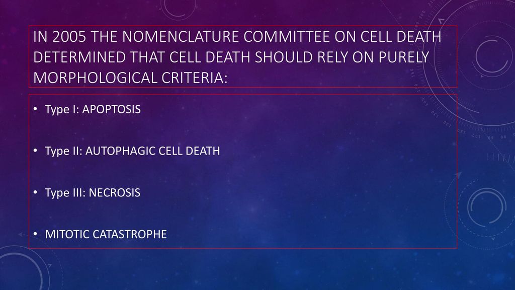 Types of cell death according to the Nomenclature Committee on Cell