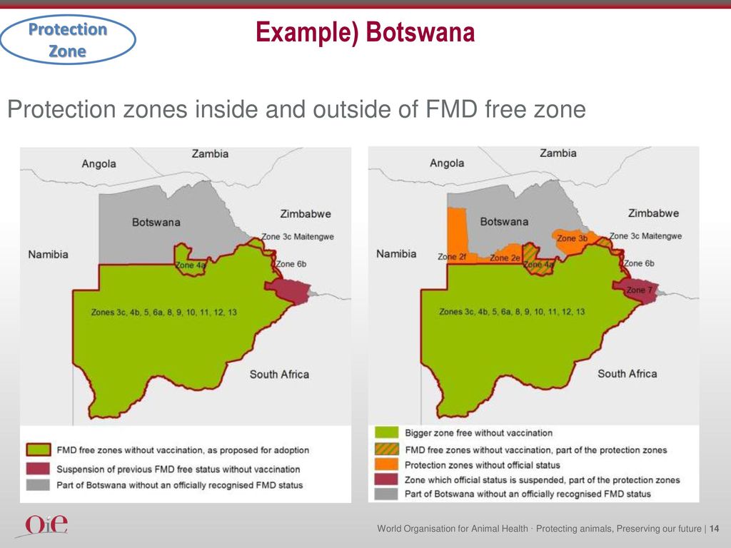 Example) Botswana Protection zones inside and outside of FMD free zone