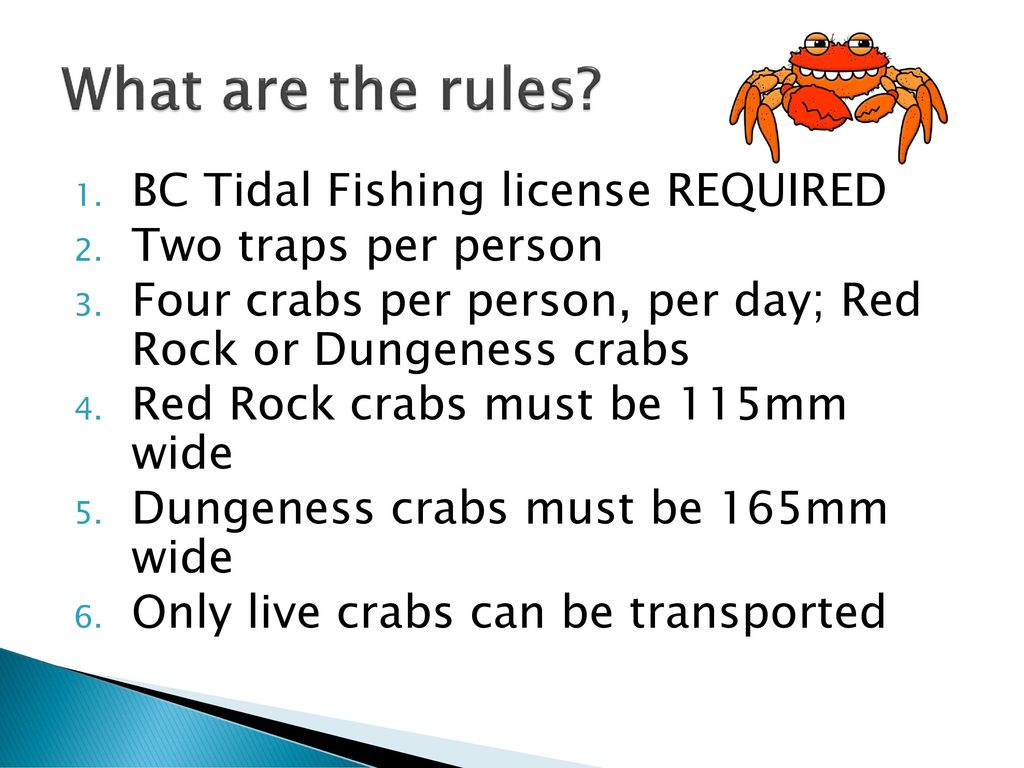 CRABBING VANCOUVER Made Easy. CRABBING VANCOUVER Made Easy. - ppt download