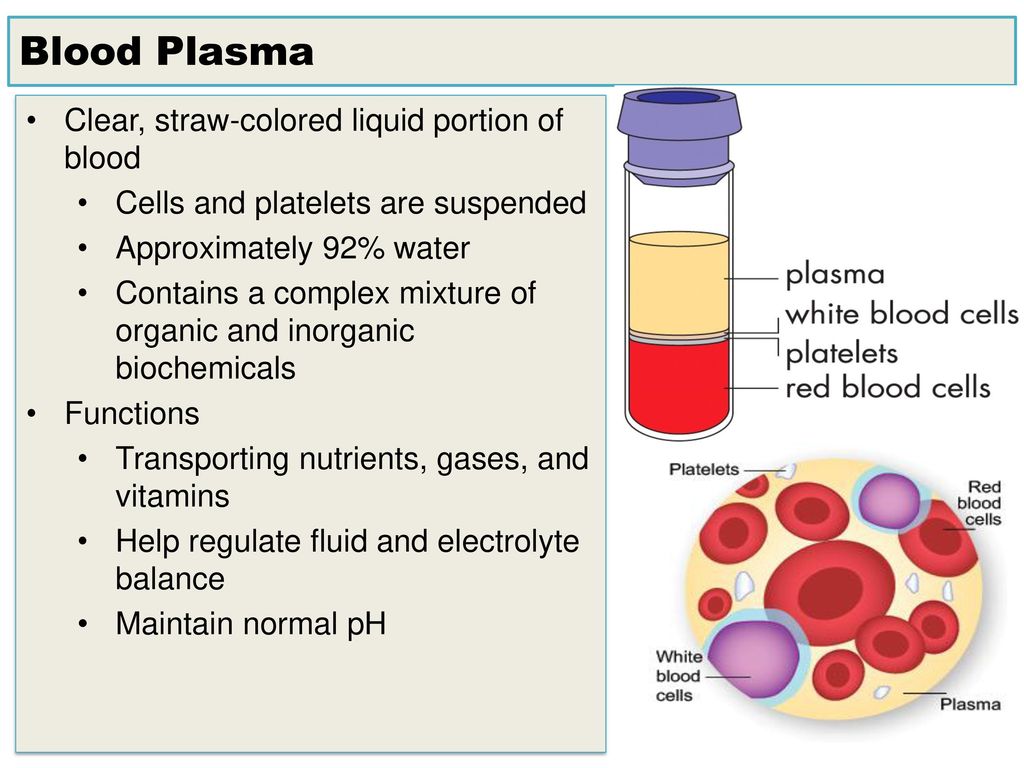 Вода в сыворотке крови. Плазма крови. Blood Plasma. Сыворотка крови. Плазма и сыворотка крови.