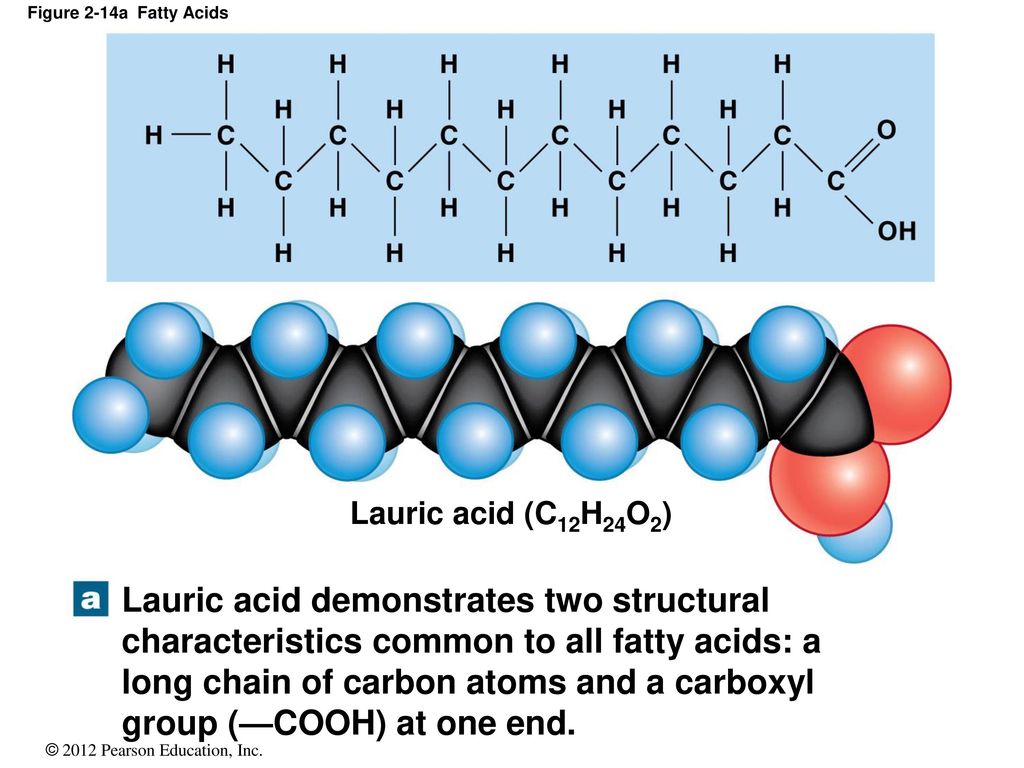 2 The Chemical Level of Organization. - ppt download