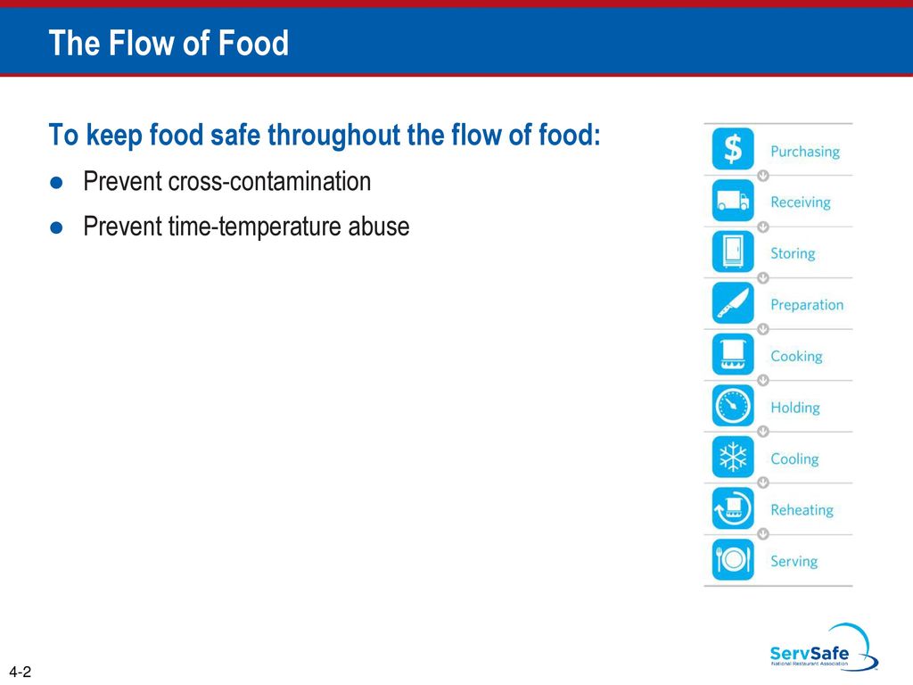 The Flow Of Food To Keep Food Safe Throughout The Flow Of Food Ppt the-flow-of-food-to-keep-food-safe-throughout-the-flow-of-food-ppt