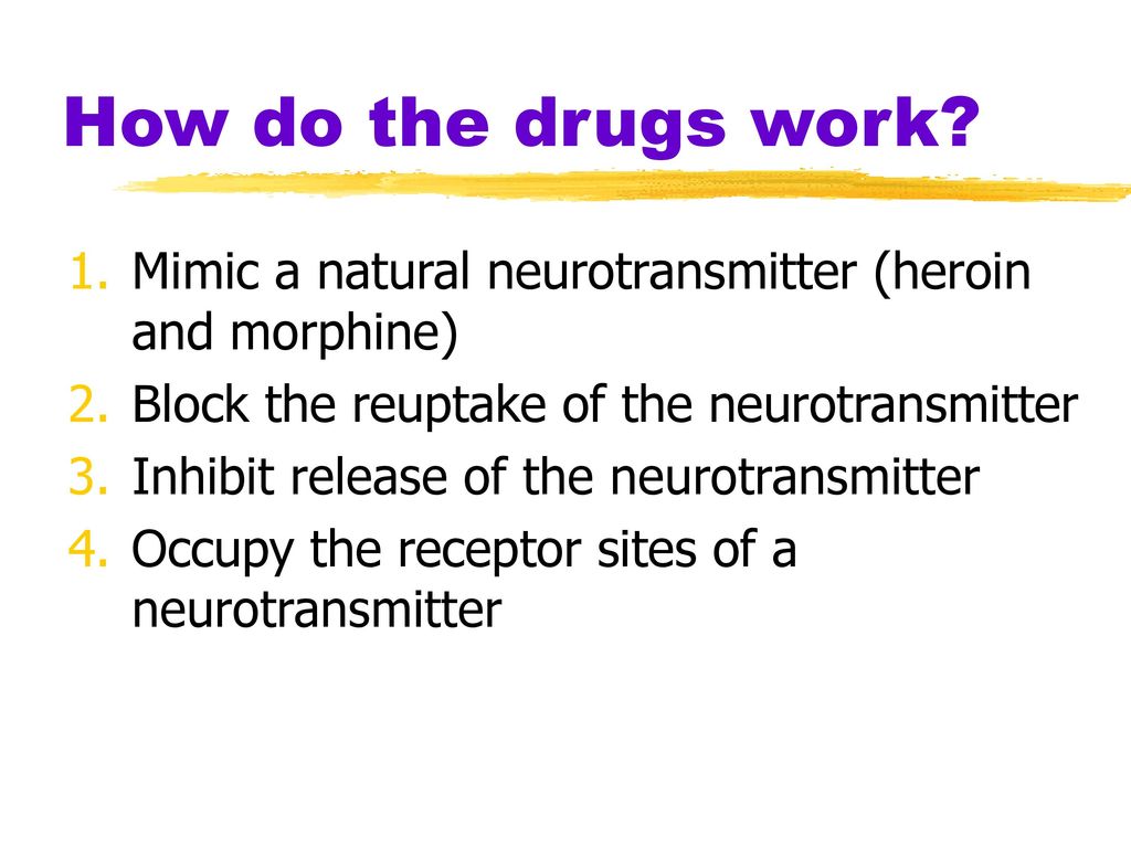 Neural and Hormonal Systems - ppt download