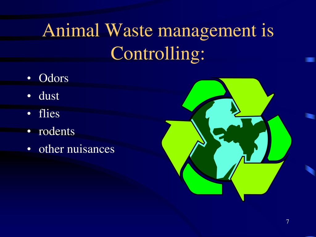 Animal Waste Management: - ppt download