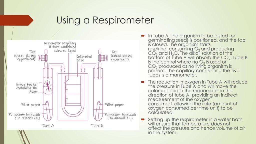 Cellular Respiration Subtopic ppt download