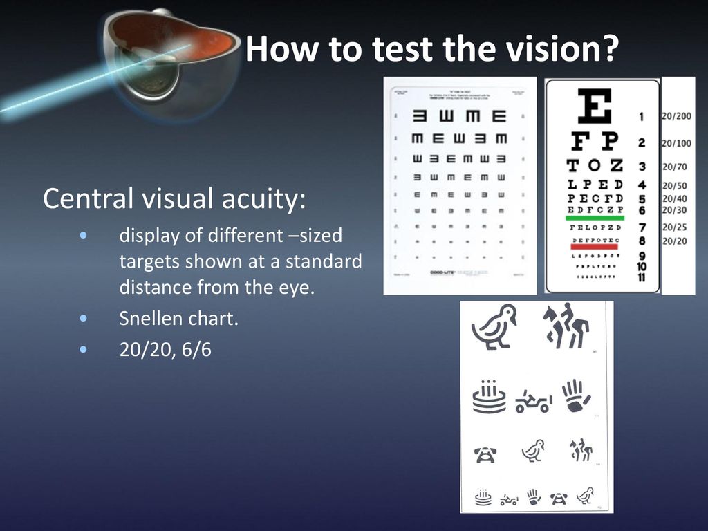 The Eye Chart That Measures Visual Acuity Is Quizlet