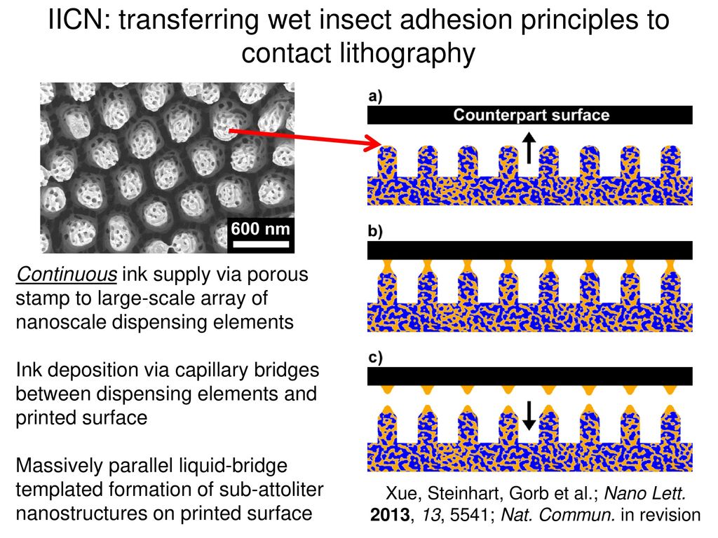 IICN: transferring wet insect adhesion principles to contact lithography