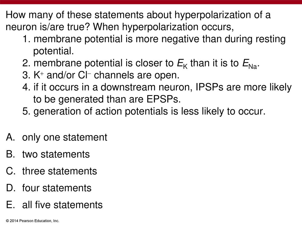 37 Neurons Synapses And Signaling Ppt Download