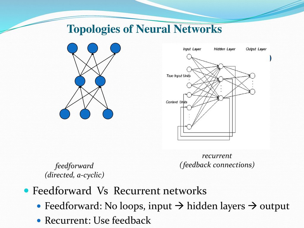 Topologies of Neural Networks