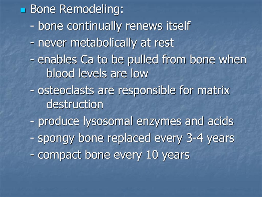 Bone Tissue Ch ppt download Biology Diagrams