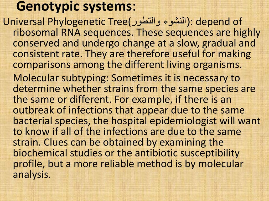 Genotypic systems:
