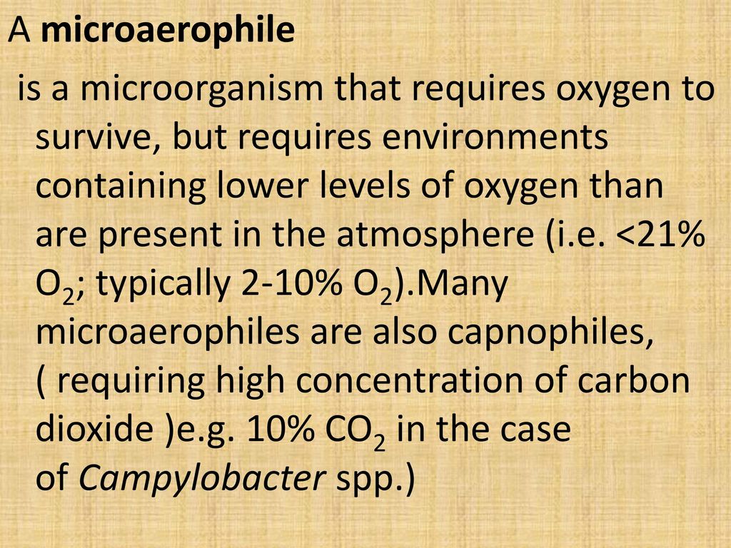 A microaerophile is a microorganism that requires oxygen to survive, but requires environments containing lower levels of oxygen than are present in the atmosphere (i.e.