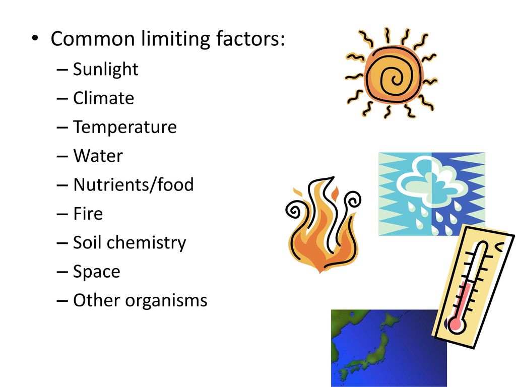 limiting factors examples biology
