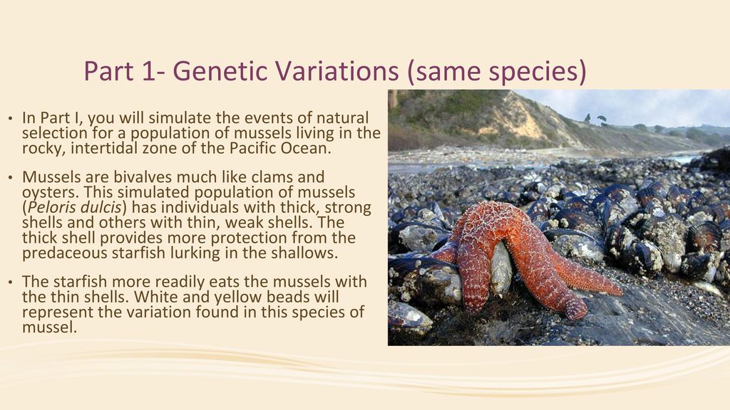 Part 1- Genetic Variations (same species)
