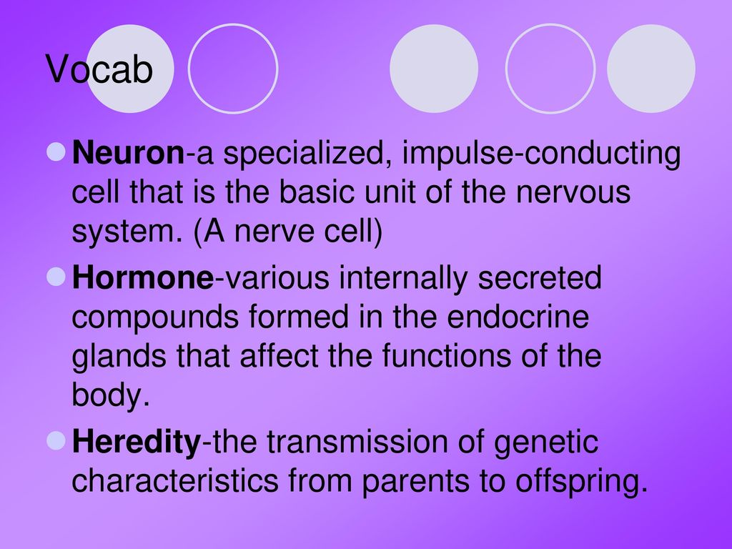 The Nervous System Unit II: Biology and Behavior What is it ppt download