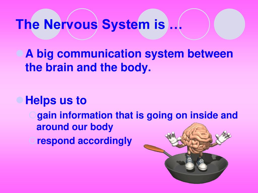 The Nervous System Unit II: Biology and Behavior What is it ppt download
