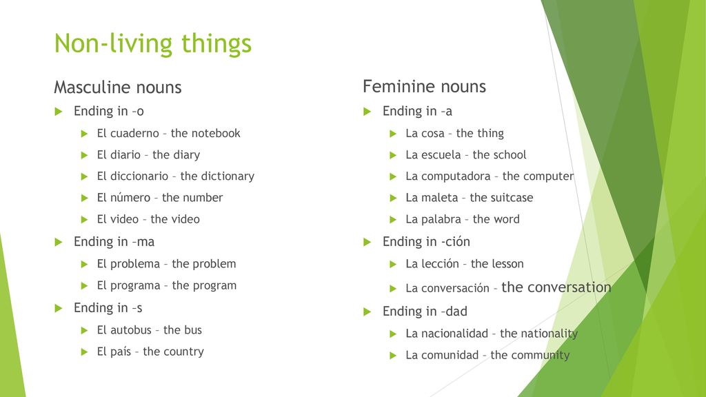 Nouns – gender and number - ppt download