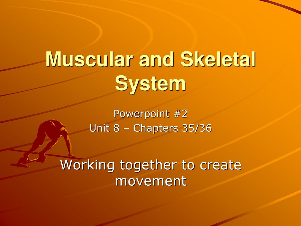 Muscular and Skeletal System