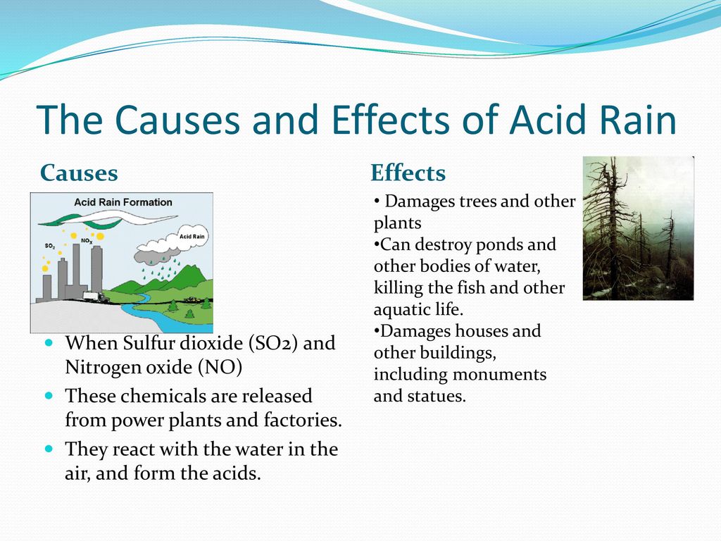 what are the causes and effects of acid rain