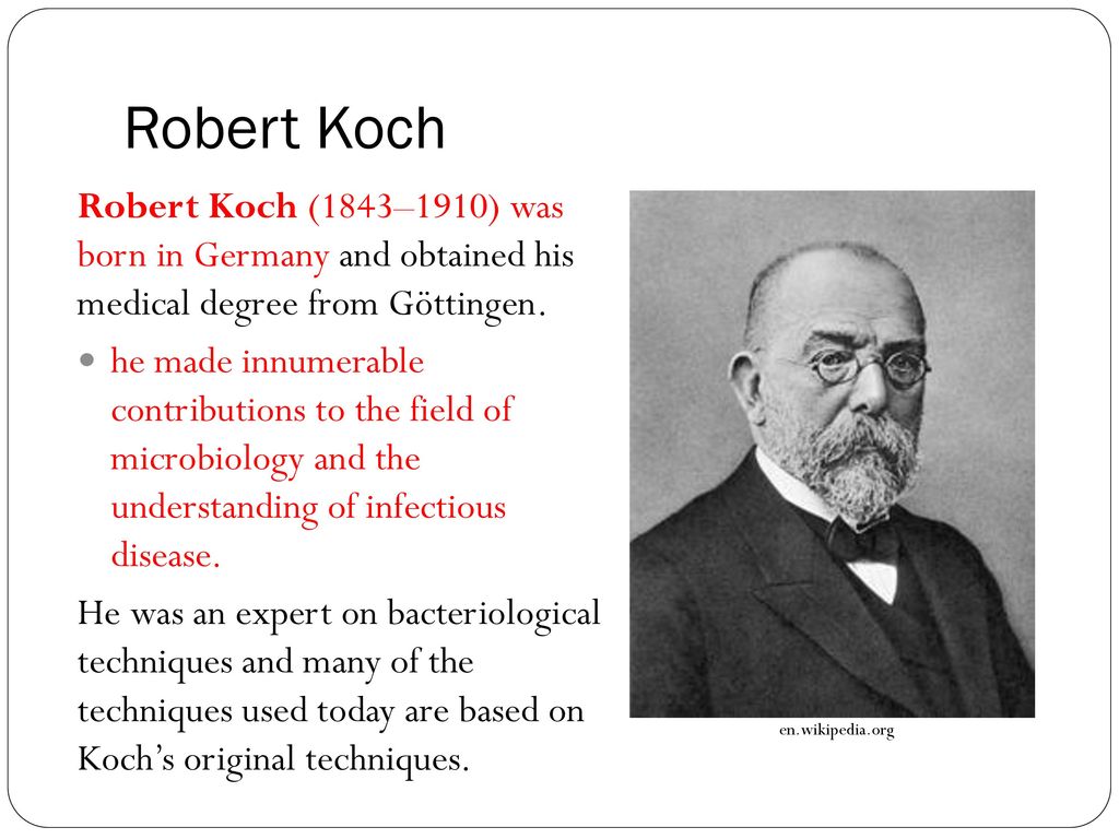 A Search For Better Health Topic 4: Pasteur and Koch - ppt download