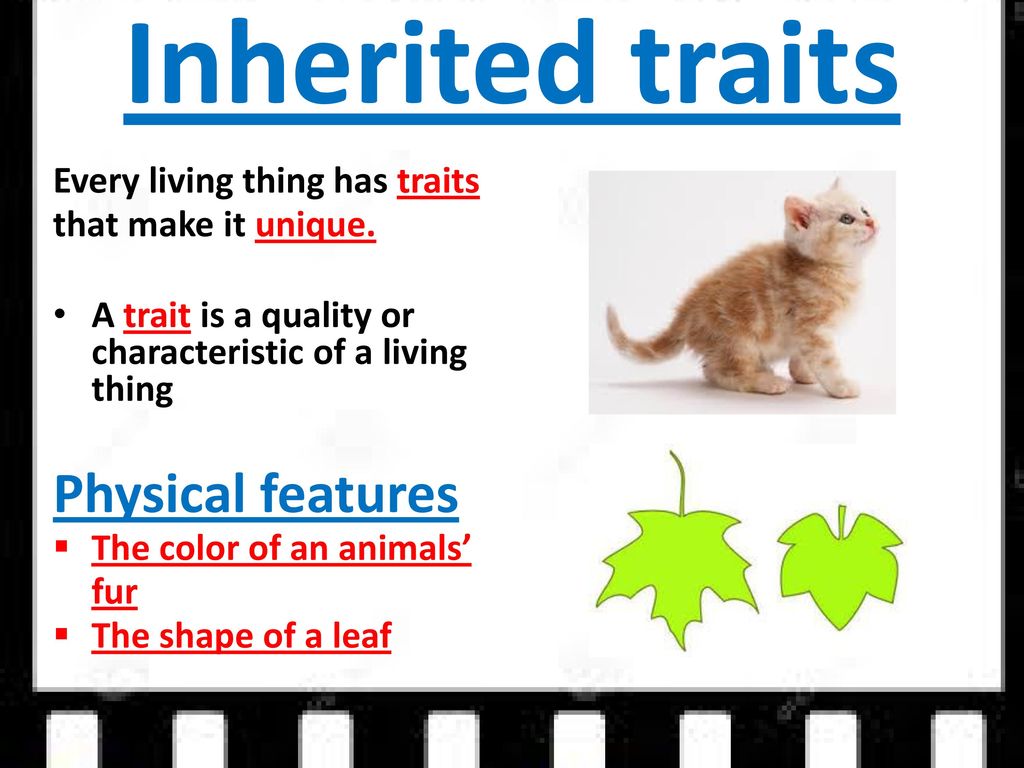 Inherited Traits and Learned Behaviors - ppt download