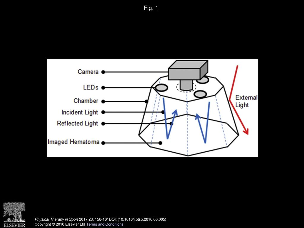 Fig. 1 The standardized digital system used to capture images.