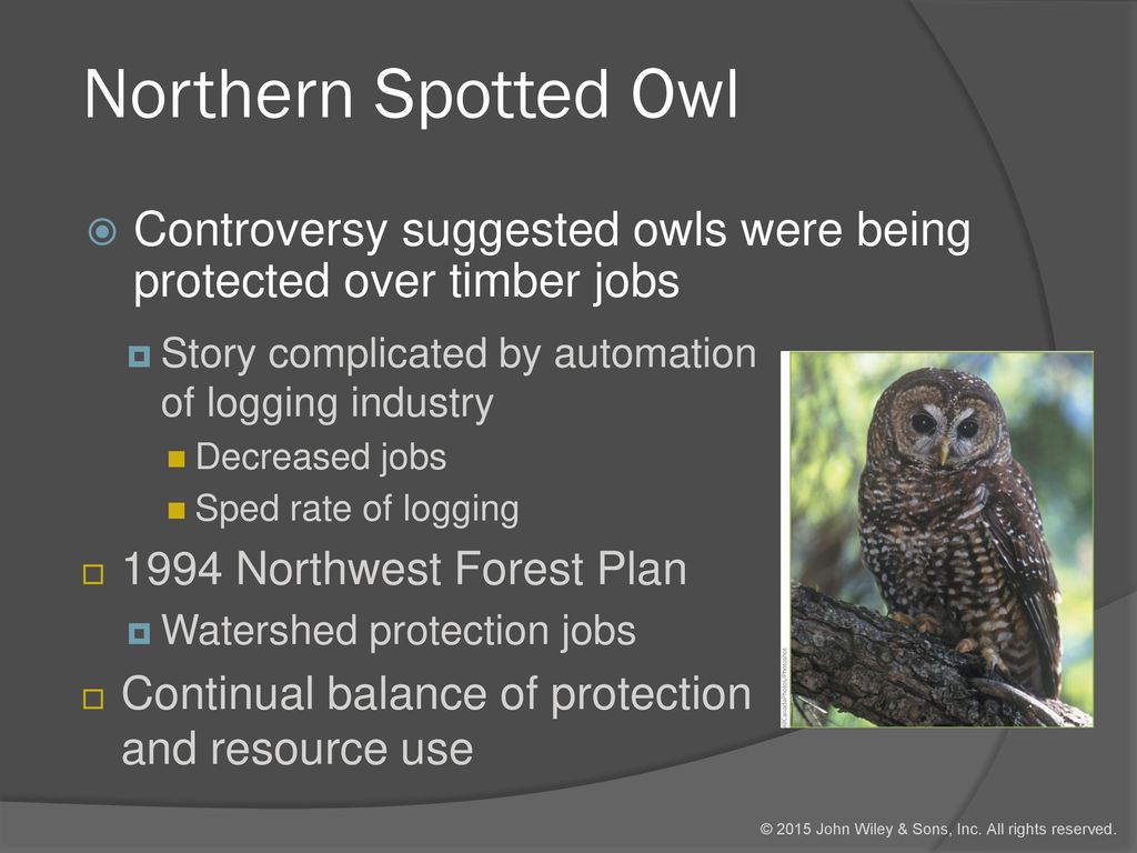 spotted owl controversy