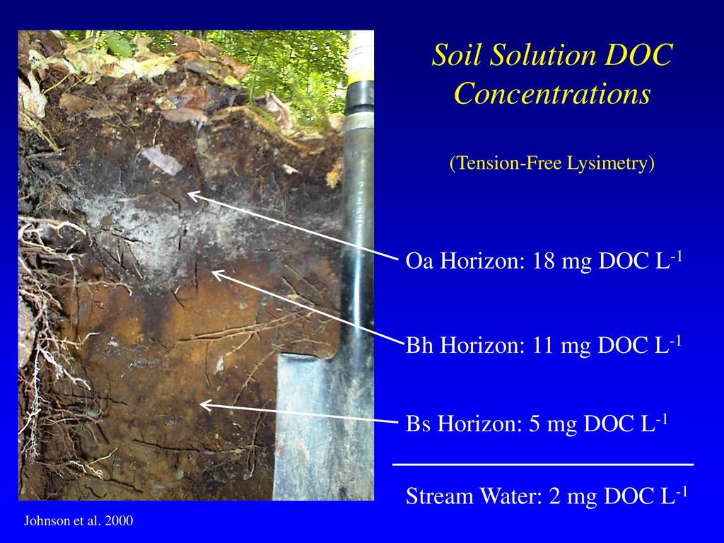 Organic Matter Characterization in Forest Soils - ppt download