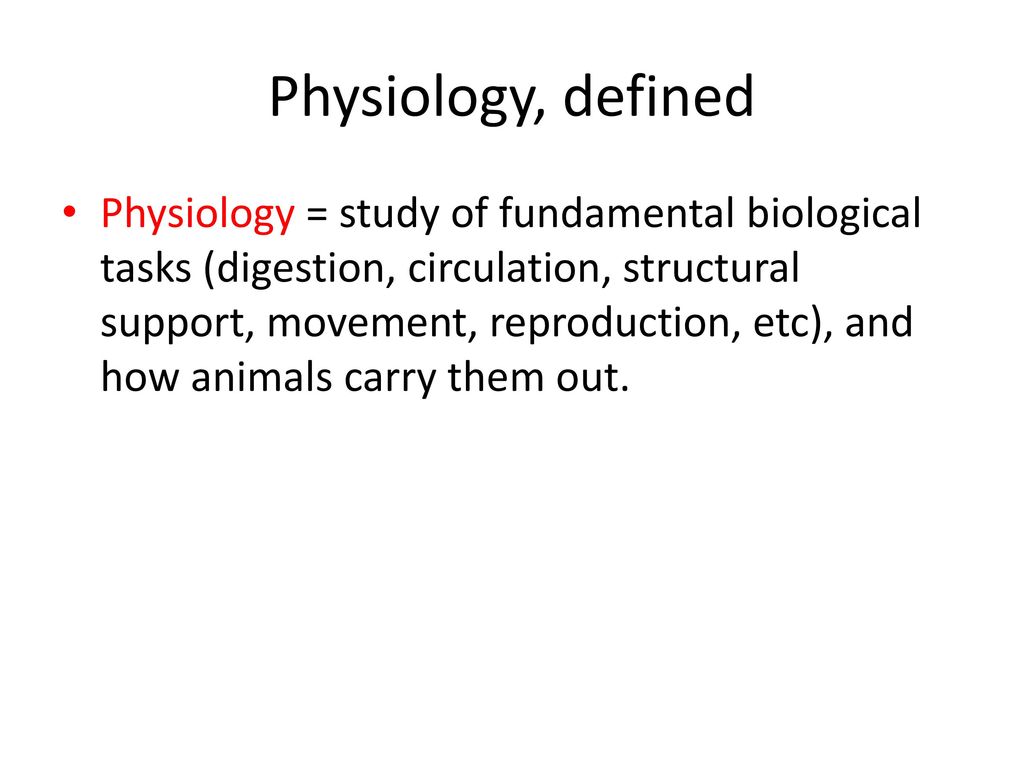 Animal Physiology Thursday, March 8th. - ppt download