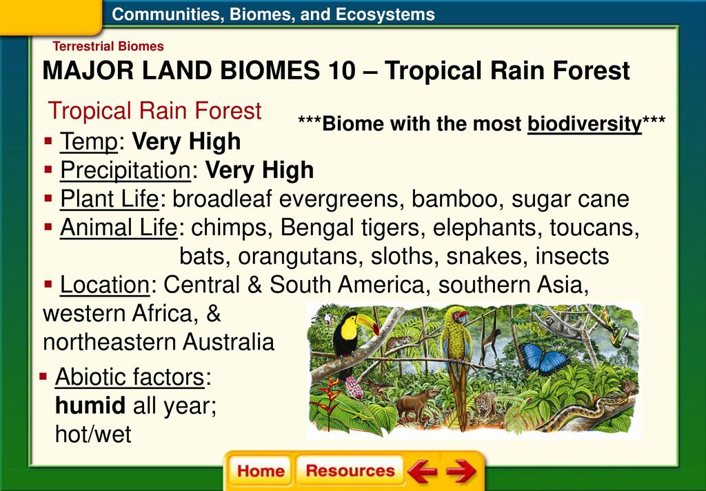 Terrestrial Biomes State Standard - ppt download