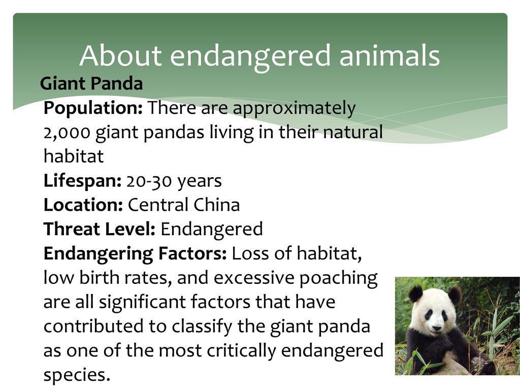 What can we do to save the Earth - ppt download
