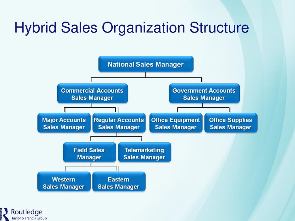 Salesforce Organization Chart