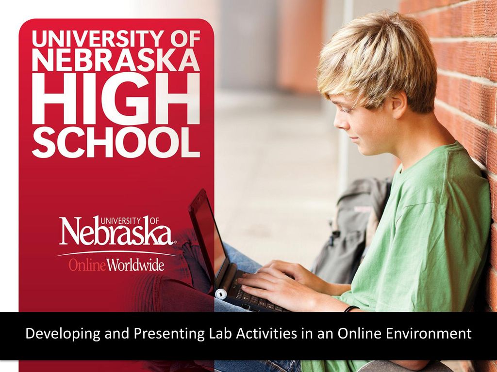 Developing and Presenting Lab Activities in an Online Environment