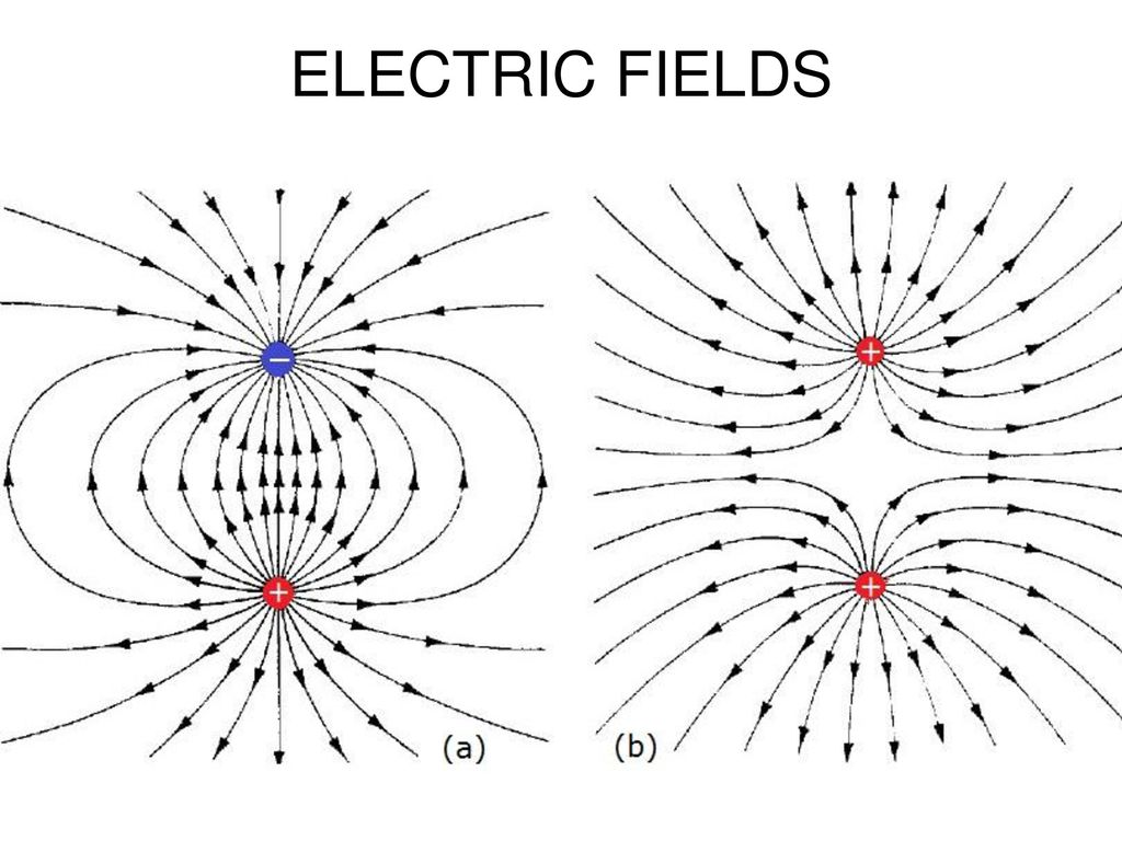 Силовые линии электрического поля рисунок
