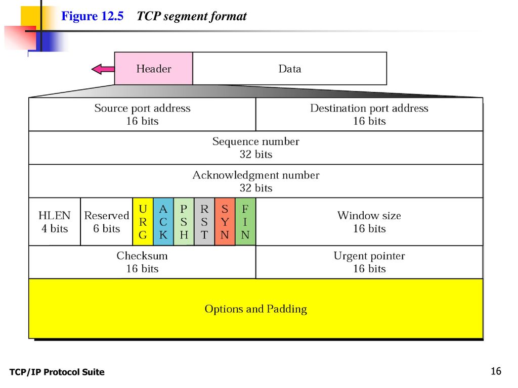 Transmission Control Protocol - ppt download