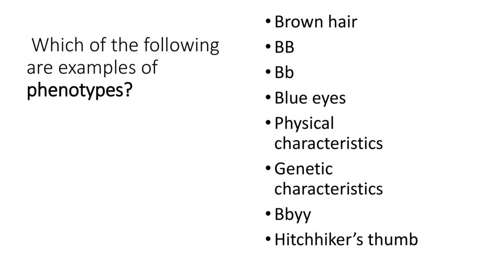 Bellwork: 12/3/15 Which of the following describe meiosis