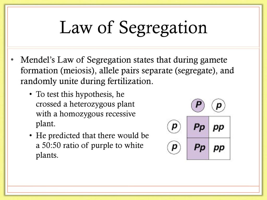 Mendelâ€™s principle of segregation states that