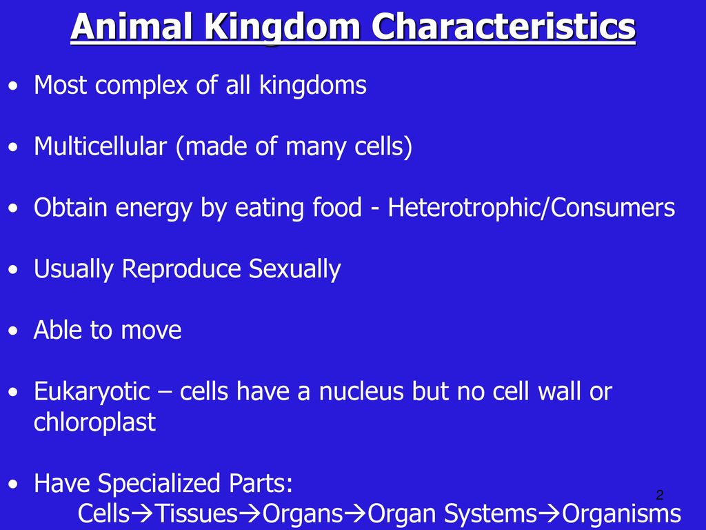 Unit 5 Kingdom Animalia Kingdom Animalia – Complex, multi-cellular