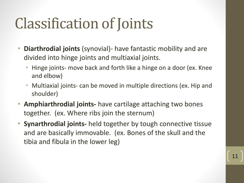 Introduction to anatomy ppt download