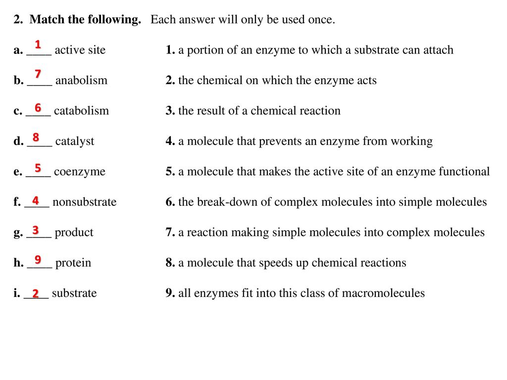 Presentation on theme: "ENZYMES VOCABULARY PLUS WORKSHEET"- Prese...