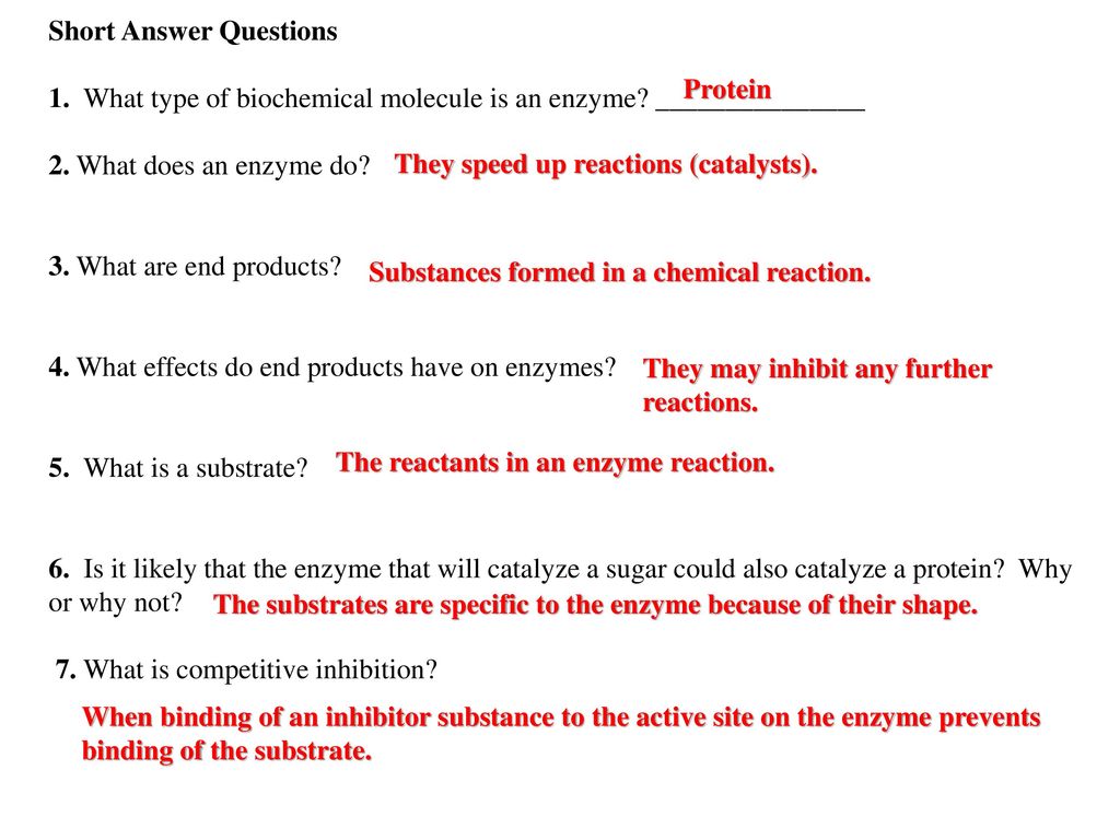 ENZYMES VOCABULARY PLUS WORKSHEET - ppt download Pertaining To Enzyme Reactions Worksheet Answer Key