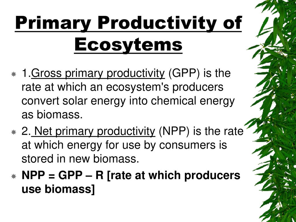 Ecology, Ecosystems, & Food Webs Biology Diagrams