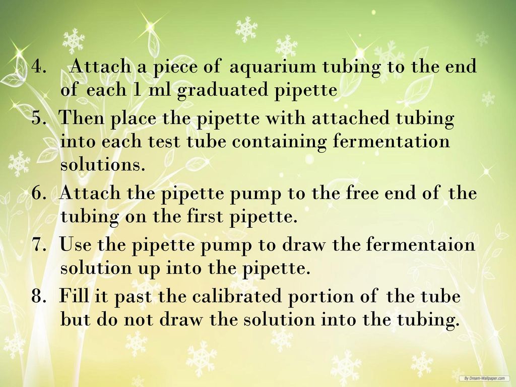 4. Attach a piece of aquarium tubing to the end of each 1 ml graduated pipette 5.